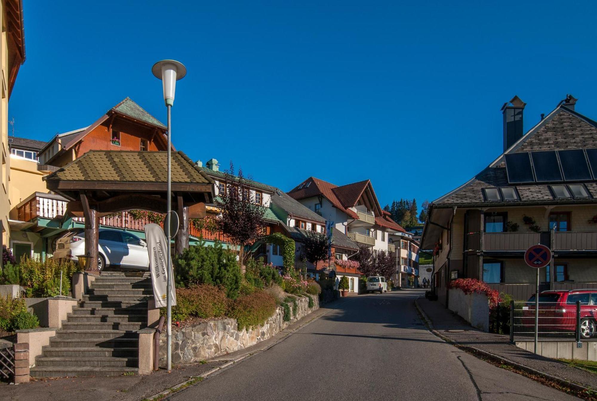 Apartment 06 - Ferienresidenz Roseneck, 2 Schlafzimmer, Mit Schwimmbad In Todtnauberg Bei Feldberg Εξωτερικό φωτογραφία