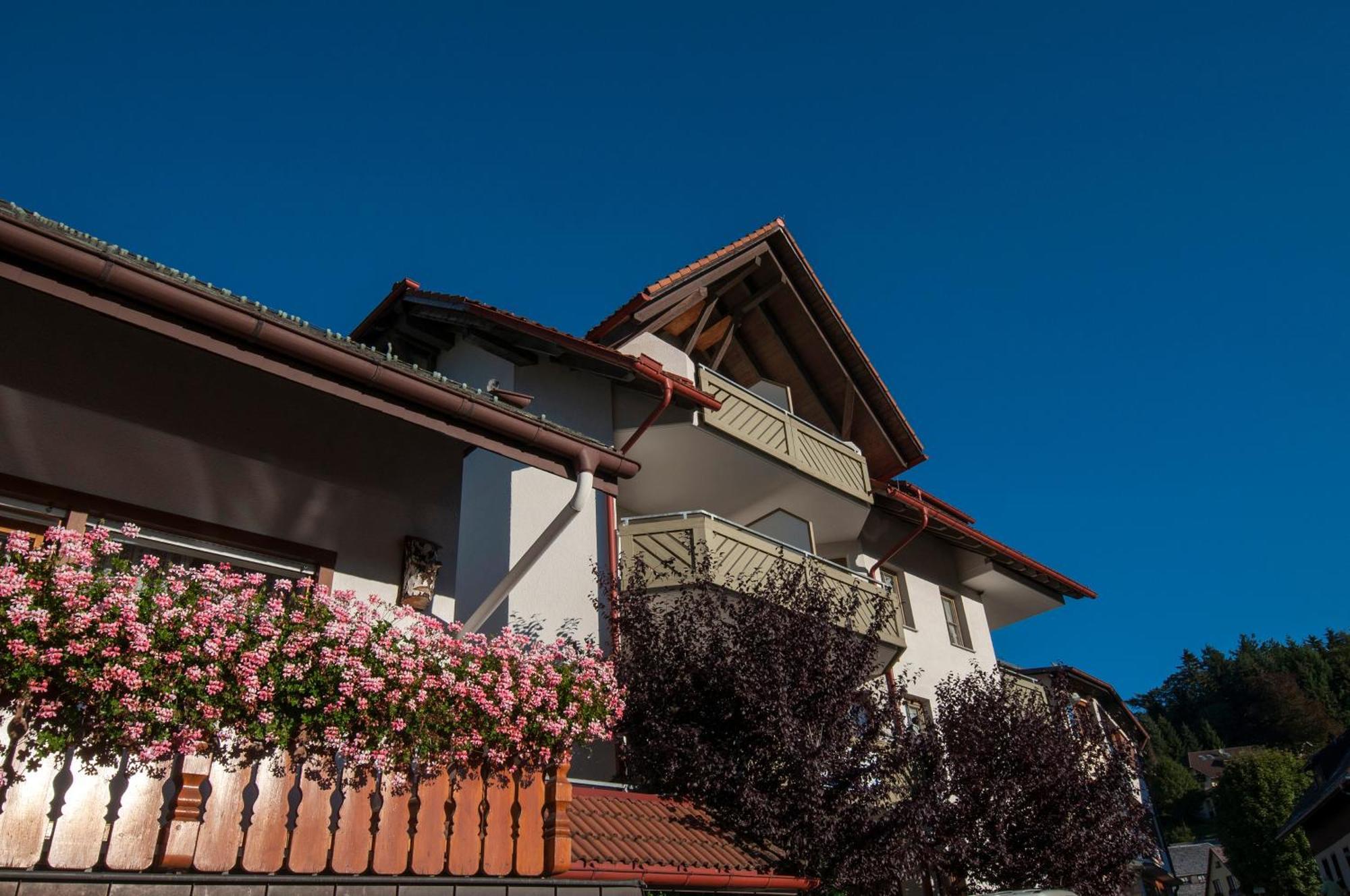 Apartment 06 - Ferienresidenz Roseneck, 2 Schlafzimmer, Mit Schwimmbad In Todtnauberg Bei Feldberg Εξωτερικό φωτογραφία