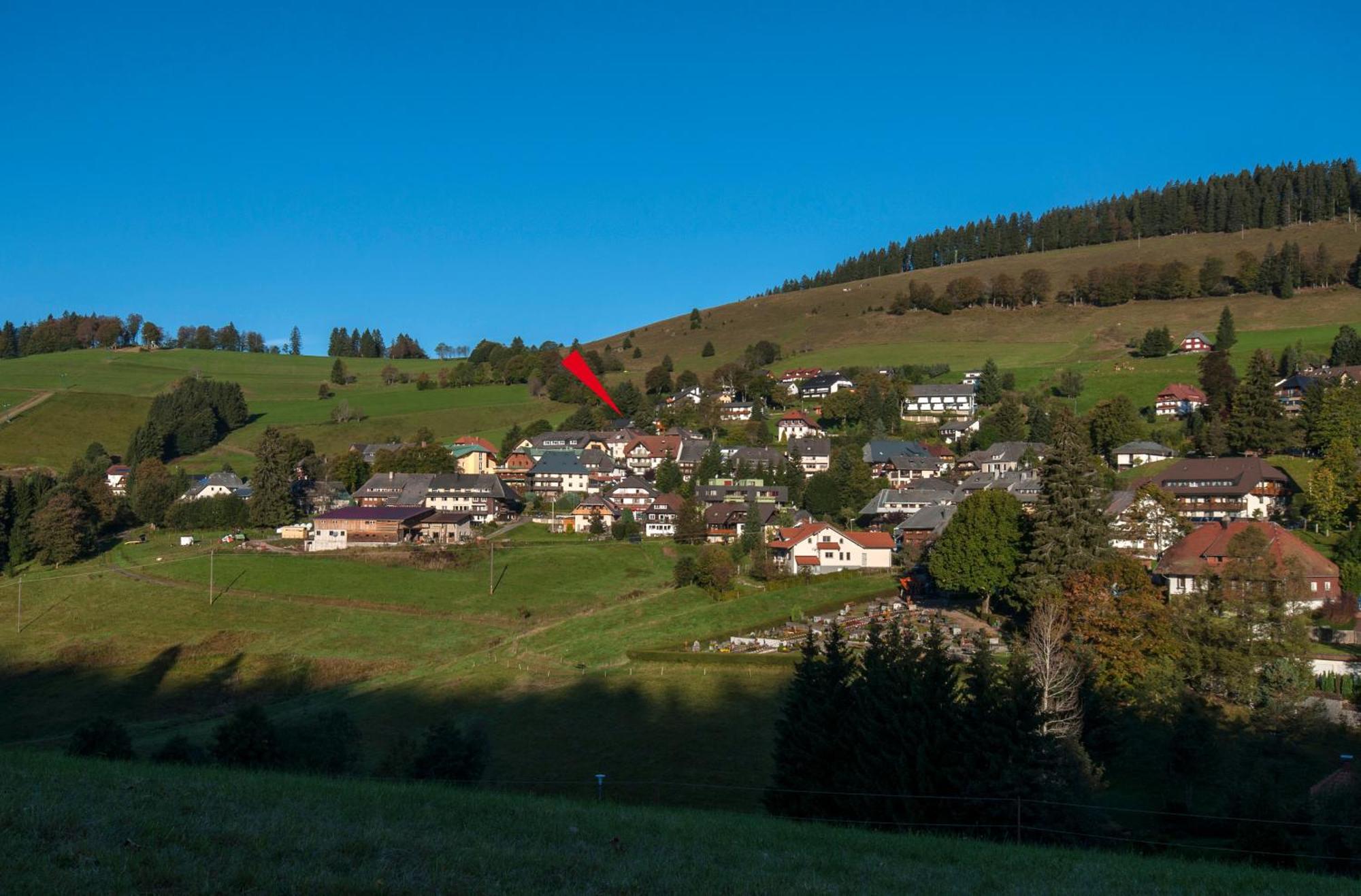 Apartment 06 - Ferienresidenz Roseneck, 2 Schlafzimmer, Mit Schwimmbad In Todtnauberg Bei Feldberg Εξωτερικό φωτογραφία